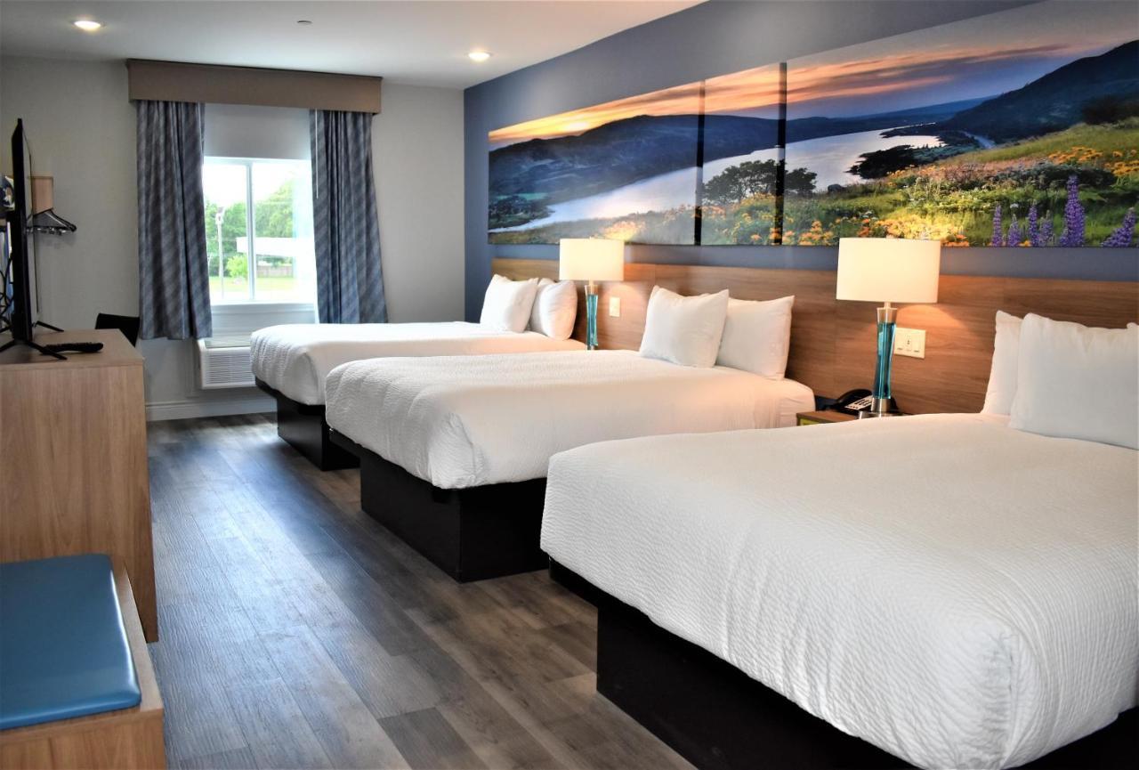 Days Inn & Suites By Wyndham Downtown/University Of Houston Bagian luar foto
